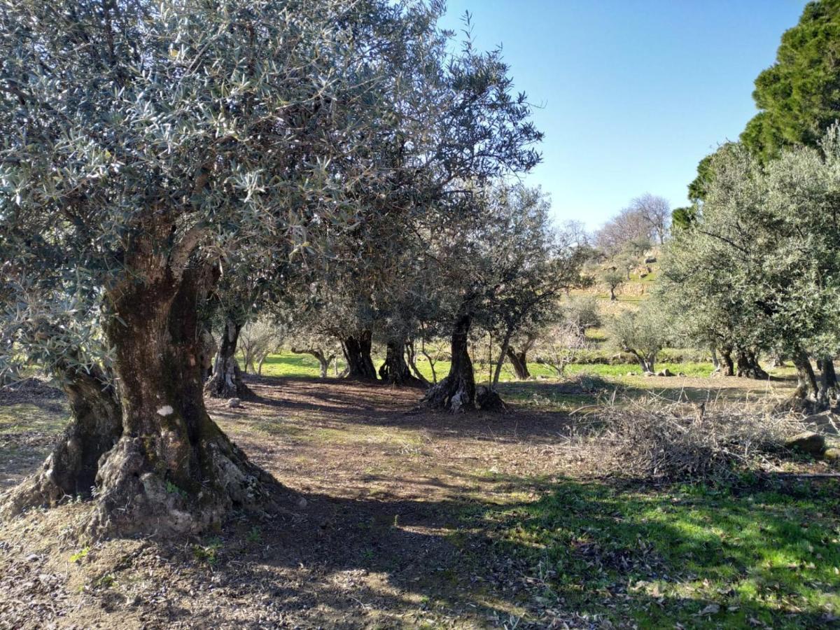 Casa Rural La Picota Valverde de la Vera Εξωτερικό φωτογραφία