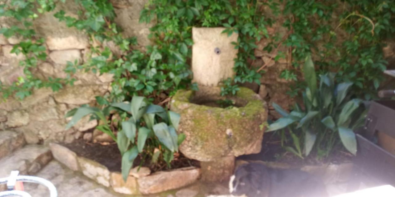 Casa Rural La Picota Valverde de la Vera Εξωτερικό φωτογραφία
