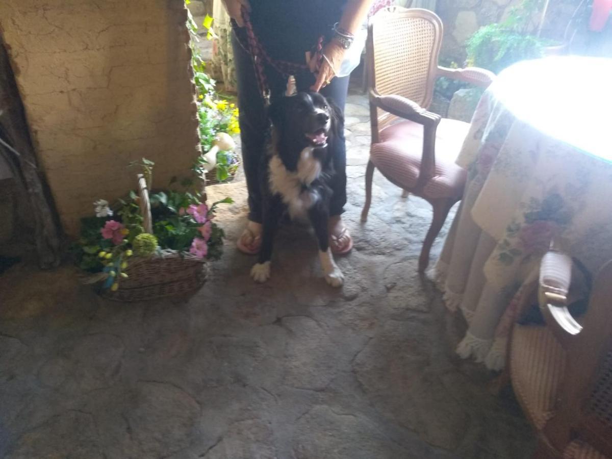 Casa Rural La Picota Valverde de la Vera Εξωτερικό φωτογραφία